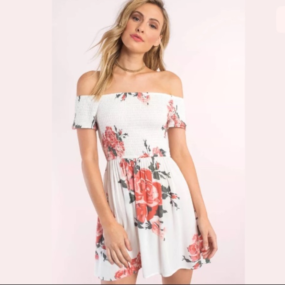 Tobi darlin’ ivory multi rose print skater dress